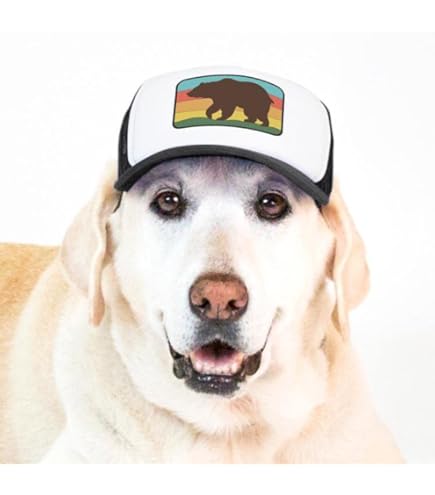 Dog Hats For Medium Dogs PupLid DIY Dog Trucker Hat Customizable