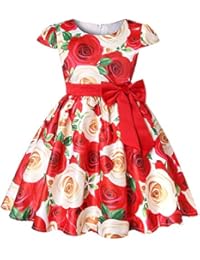 AIMJCHLD Party Dress for Toddler Little Baby Girls Striped Flower Wedding Dresses Pageant Prom Ball Gowns Fancy Performance Formal Dress Size 2 3 Years (Red 100)