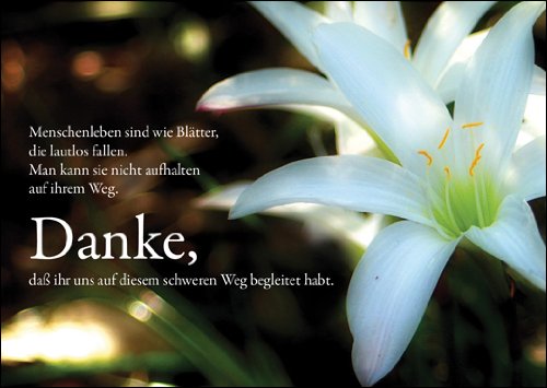 Trauersprüche Danke Das Es Dich Gab Trauerkarten 5er Set: Menschenleben sind wie Blätter, die lautlos