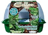 DuneCraft Sprout 'n Grow Coffee Science Kit