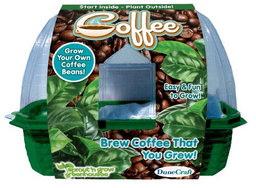 DuneCraft Sprout 'n Grow Coffee Science Kit