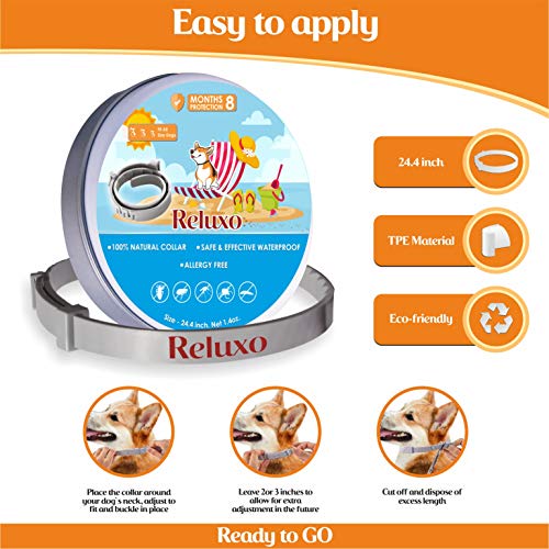 Dog Flea and Tick Collar - Flea and Tick Prevention for Dogs Up to 1 Year Easily Adjustable and Waterproof for Large Small Dogs Flea and Tick Control - Natural Dog Flea Collar for Pet 24.5