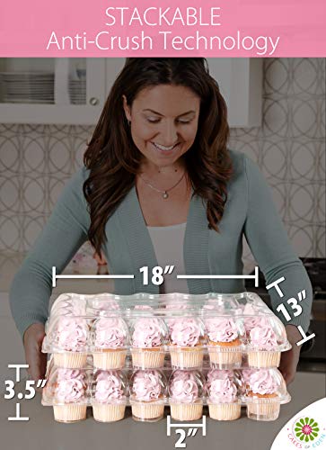 (24 Pack x 10 Sets) STACK'nGO Cupcake Carriers - High Tall Dome Clear Containers Thick Plastic Disposable Storage Boxes. 2 Dozen Compartments Slots Holder Cupcakes Box Tray Container. Cup Cake Holders