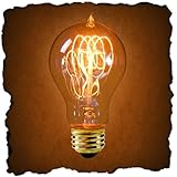 25 Watt - Vintage Antique Light Bulb - Victorian Style - 4 Loop Hand-Wound Tungsten Filament - Clear