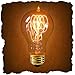 25 Watt - Vintage Antique Light Bulb - Victorian Style - 4 Loop Hand-Wound Tungsten Filament - Clear