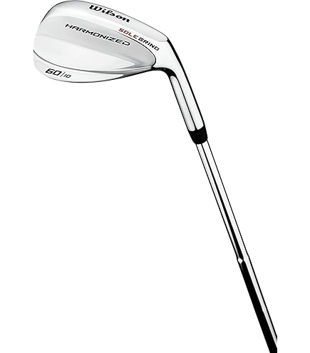 Kasco - Kasco Dolphin Wedge 60度　DW-120G DG S200 Kasco Dolphin Wedge DW-120G Wedge