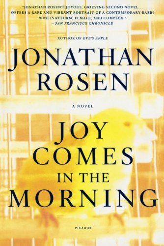 Joy Comes in the Morning: A Novel