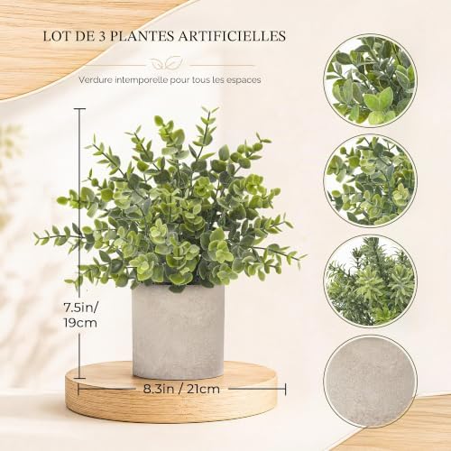 Lot de 3 mini plantes artificielles en plastique -Eucalyptus en pot pour la maison ou le bureau