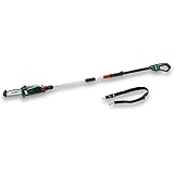 Elagueuse electrique sur perche