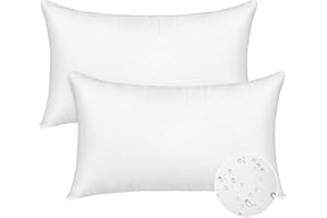 CASAJOY Pack of 2 12x20 Outdoor Pillow Inserts, Water Resistant Throw Pillow Inserts, Outdoor Lumbar Pillow for Patio, Furniture, Sofa, Bed, Living Room, Garden Decorative Waterproof Pillow Inserts