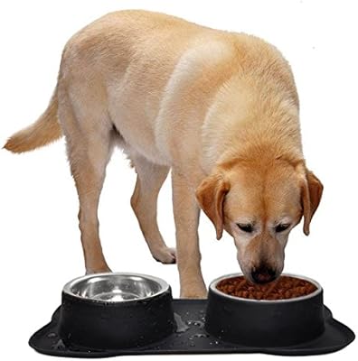 stainless steel dog bowls with stand