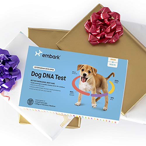 Embark Dog DNA Test Breed & Health Kit Breed Identification
