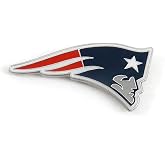 aminco NFL unisex-adult Logo Pin