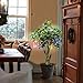 GTidea 3.3 Feet Artificial Fortune Tree Silk Plants Real Touch Soft Lush Leaves Home Office Arrangements Indoor Outside Greenery Decor
