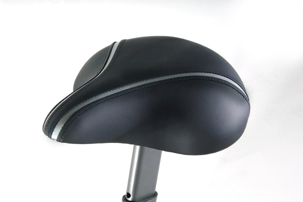 stamina airgometer exercise bike