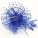Cizoe Fascinators Hat for Women Tea Party Headband Kentucky Derby Wedding Flower Cocktail Mesh Feathers Hair Clip(1-Royal Blue)
