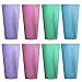Hampton 28-ounce Plastic Tumblers | set of 8 in 4 Assorted Colors