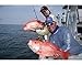 Penn PRESF1530S10 Prevail Surf Spinning Fishing Rod, 10 Feet, Medium Heavy Power