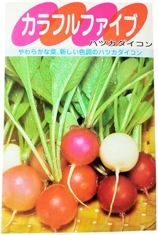 Amazon 廿日大根 種 カラフルファイブ 小袋 約6ml 野菜
