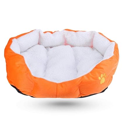 crazy store dog beds