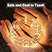 SENYERGIANT Led String Lights, 33 ft 100 LEDs Waterproof Warm White on Copper Wire,Fairy Lights with Remote Control and Power Adapter