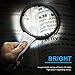 Neon 10X 20X Bifocal Double Lens Handheld 90mm Illuminated Magnifier Magnifying Glass Loupe with 2 LED Lights