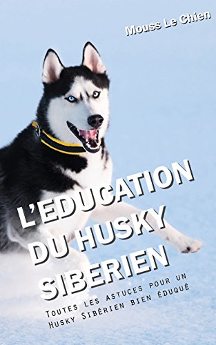 Leducation Du Husky Sibérien Toutes Les Astuces Pour Un