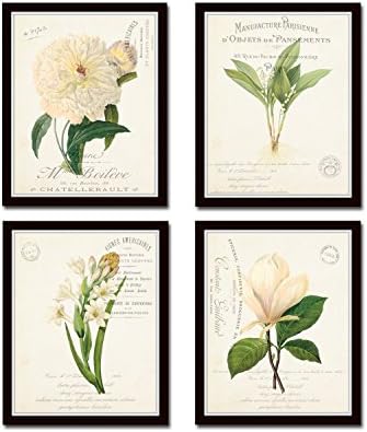 French Botanical Collage Print Set No. 3 Botanical Prints, Wall Art Prints, Vintage Wall Art, Vintage Wall Decor, Vintage Art Prints, Botanical Wall Decor, Vintage Botanical Prints - Unframed