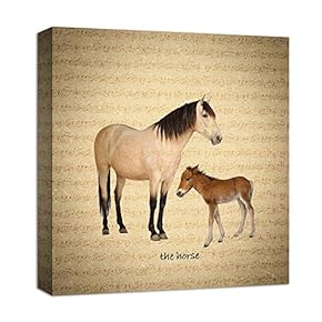 Canvas Wall Art for Living Room,Bedroom Home Artwork Paintings Farm Animal Ready to Hang - 12x12 inches