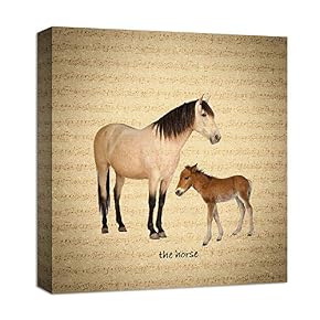 for Living Room Bedroom Home Artwork Paintings Farm Animal