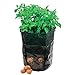 Amgate Garden Potato Grow Bag Vegetables Planter with Access Flap for Harvesting ~ Eco-Friendly Waterproof Pe ~ 14