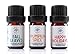Prairie Essentials Holiday Essential Oil Blends 3-pack (Pumpkin Spice, Fall Leaves, Happy Holidays), 100% Pure, Undiluted, Therapeutic Grade