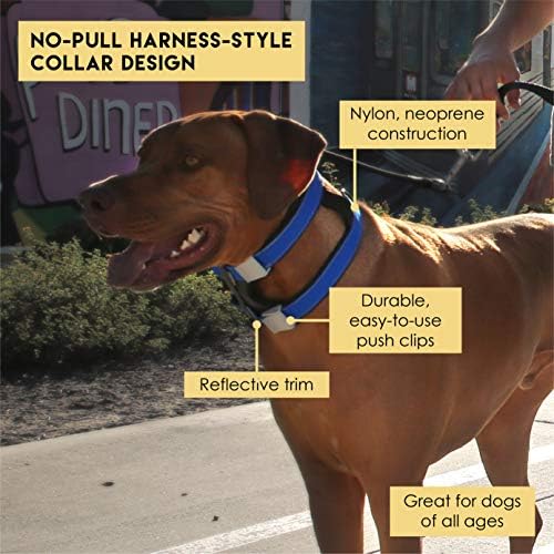 cesar millan no pull collar