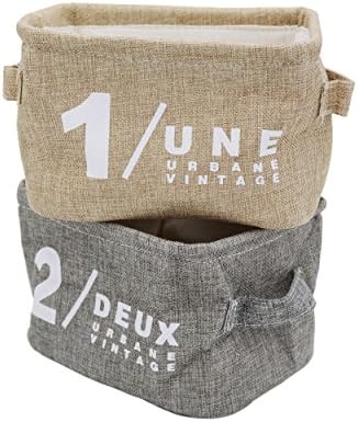 Famgee 2 PACK Mini Foldable Rectangular Cube Fabric Storage Bins Basket Organizer Set With Handles for Closet, Toys, underwear, etc
