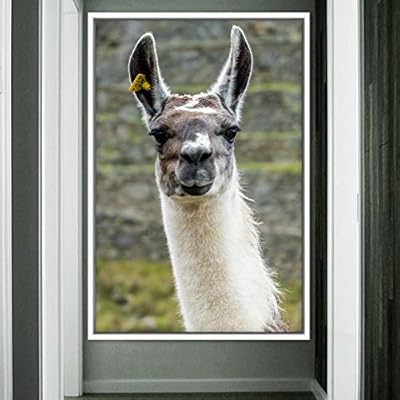 signwin Framed Canvas Wall Art Llama Animals Camels...