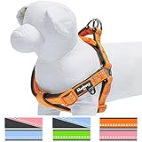 Blueberry Pet Step-in Harnesses 3M Reflective 3/4