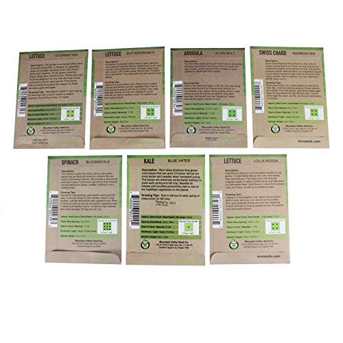 Organic, Heirloom, Non-GMO, Garden Seeds - 7 Varieties of Vegetable Leafy Power Greens - Arugula, Kale, Lolla Rossa Lettuce, Buttercrunch Lettuce, Gourmet Mix Lettuce, Spinach, Swiss Chard - Image 3