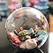 UNIQLED Clear Plastic Fillable Christmas DIY Craft Ball Ornament - Pack of 10 (60mm)