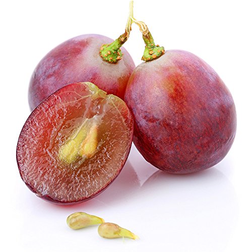 OPC (Traubenkernextrakt), hochdosiert, 100mg - 180 Tabletten, vegan. Reines, hochdosiertes OPC - der Super Antioxidant. OHNE künstliche Zusätze - laborgeprüft. Von Greenfood. – Bild 4