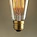 NEW Edison Vintage Bulbs - 6 pack - Senbao Bulbs - 60W Incandescent - Clear Glass - ST64 Squirrel Cage - Dimmable
