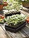 Gardener's Supply Company GrowEase Self Watering Seed Starting Kit, 24- Cell Seed, Holds 3 Qts of Seed Starting Mix - Capillary Mat, Cover and Water Reservoir Included, 100% Recycled Plastic