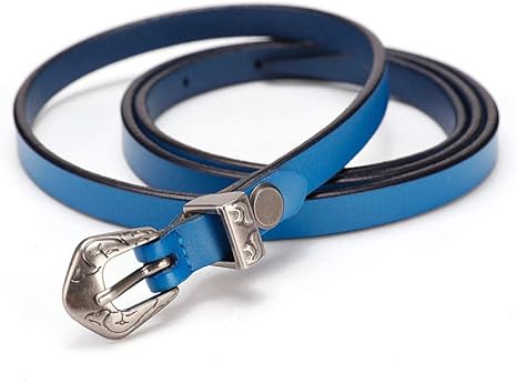 Amazon ドレスアクセサリー カジュアルジョーカーベルト パンツのすべての種類 クリスマスギフトのためのレディースベルト 学生の女の子スネークヘッド装飾的な細い腰ベルト 1 105cm ベルト 通販