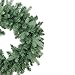 Northlight Coniferous Mixed Pine Artificial Christmas Wreath, 24