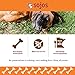 Sojos Good Dog Crunchy Natural Dog Treats, Peanut Butter & Jelly, 8-Ounce Box