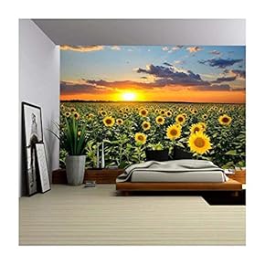 Field of Blooming Sunflowers on a Background Sunset