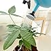 MyLifeUNIT 2 in 1 Watering Can with Sprayer, 1 Liter Multifunctional Garden Sprayer
