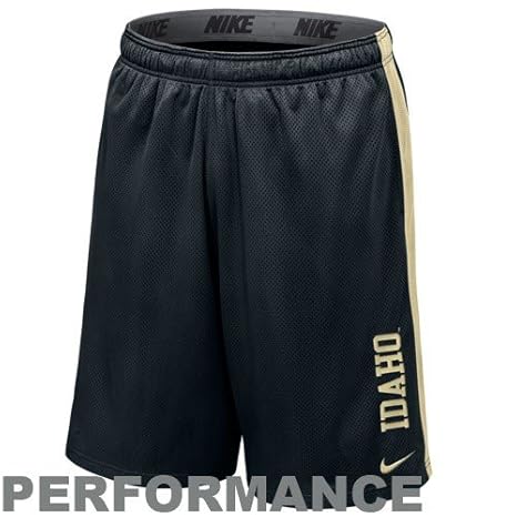 nike dri fit mesh shorts