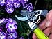 Ergonomic Garden Secateurs (Bypass Style) - Premium Pruning Shears with Auto-Rotating Handle and Finger Protection, Ideal Secateurs for Arthritic Hands, Premium SK5 Steel Garden Pruners, Davaon Pro