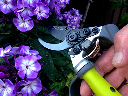 Ergonomic Garden Secateurs (Bypass Style) - Premium Pruning Shears with Auto-Rotating Handle and Finger Protection, Ideal Secateurs for Arthritic Hands, Premium SK5 Steel Garden Pruners, Davaon Pro - Image 9