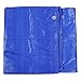 Lightweight Outdoor Camping Tarp 6' x 8' 5-mil Blue Waterproof Boat Tarps Covers with Grommets